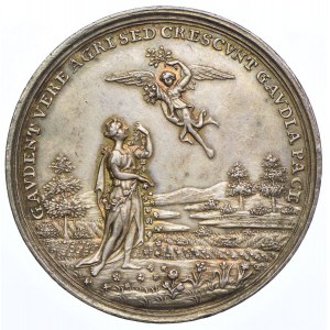 Pokój Cieszyński 1779, srebro