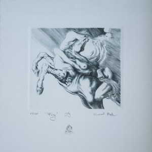 BĄK Karol, Fury (23/100), 1989