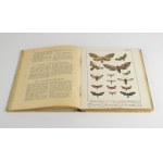 [motyle] DYAKOWSKI Bohdan - Atlas motyli krajowych [1906] [oprawa wydawnicza]