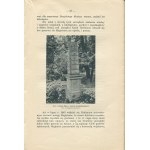 BIAŁYNIA-CHOŁODECKI Józef - Cmentarz Stryjski [Lwów 1913]