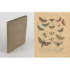[motyle] BUHLE H. A. - Tag und abendschmetterlinge Europa's (Dzienne i wieczorne motyle europejskie) [1837] [w j. niemieckim]