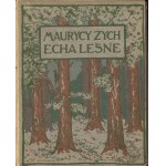 ŻEROMSKI Stefan (ps. ZYCH Maurycy) - Echa leśne [wydanie pierwsze 1905] [il. Jan Bukowski]