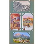 Ausztria 202 darabos szép régi képeslap gyűjtemény jó darabokkal albumban ...
