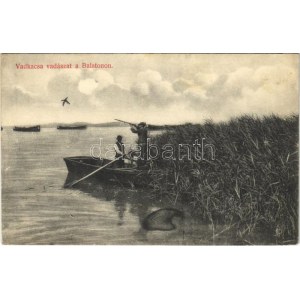 1910 Balaton, vadkacsa vadászat csónakból puskával. Divald Károly műintézete 1063-1908. (EK)