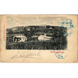 1899 (Vorläufer) Balatonalmádi, Almádi; nyaralók, szőlőskert. Köves és Boros 17. (EK)