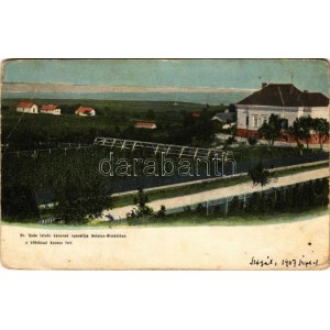 1907 Balatonalmádi, Almádi; Dr. Rada István kanonok nyaralója kilátással Kenese felé, szőlőskert (EB...