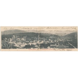 Borszék, Borsec; 2 részes kinyitható panorámalap / 2-tiled folding panoramacard (fa)