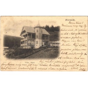 1902 Borszék, Borsec; Szini Villa