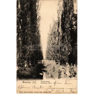 1902 Buziás, Árok fasor. Huzly István kiadása / Graben Allee / park (EK)