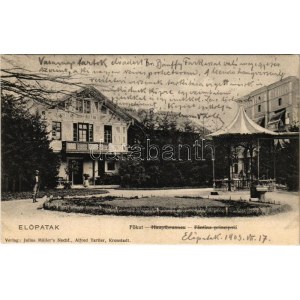 1903 Előpatak, Valcele; Főkút. Julius Müller, Alfred Tartler / Fantina principalá / villas, main well (EK...