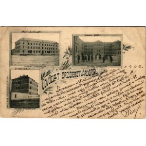 1900 Erzsébetváros, Dumbraveni; Állami gimnázium. Scholtes Albert kiadása / grammar school. Floral (EK...