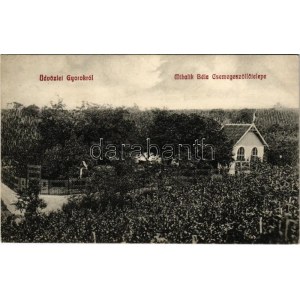 1912 Gyorok, Ghioroc; Mihalik Béla Csemegeszőlő telepe / table grape farm