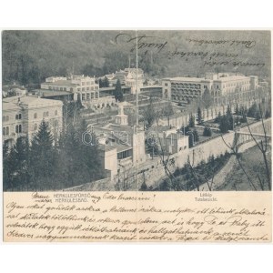 1905 Herkulesfürdő, Baile Herculane; 2 részes kinyitható panorámalap / 2-tiled folding panoramacard (hajtásnál szakadt ...