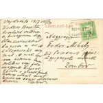 1913 Marosvásárhely, Targu Mures; Bem szobor a Széchenyi téren, Petelei Márton, Schul Henrik, Zmael Ferenc üzlete...