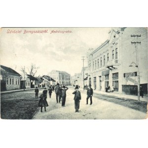 1910 Beregszász, Beregovo, Berehove; Andrássy utca, Jakab Antal ecet szesz gyára. W.L. Bp. 6061. / street...