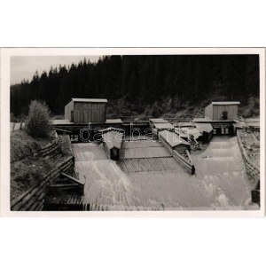 Kőrösmező, Körösmező, Jaszinya, Jasina, Yasinia (Máramaros); faúsztató gát / dam for timber transporting...
