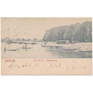 1903 Apatin, Téli kikötő / Winterhafen / winter harbor (r)