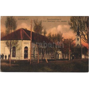 1920 Bácsfeketehegy, Feketic; Gróf Széchenyi utca, templom, Steinitz Sámuel üzlete / street, church, shop (EK...