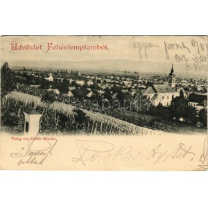 1899 (Vorläufer) Fehértemplom, Ung. Weisskirchen, Bela Crkva; szőlőhegy. Gustav Wunder / vineyards (Rb...