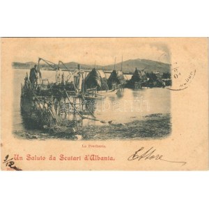 1901 Shkoder, Shkodra, Scutari, Skutari; La Pescheria / fishmonger