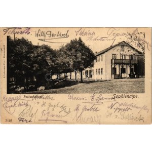 1907 Wien, Vienna, Bécs XIV. Penzing, Sophienalpe, Restauration / restaurant. K. Ledermann 3193. (EK...