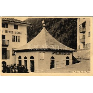 Peio, Pell (Südtirol); Antica Fonte Pejo, Hotel Oliva
