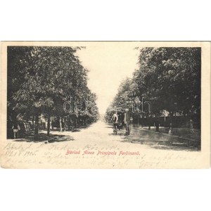 1905 Barlad, Aleea Principele Ferdinand / street (Rb)