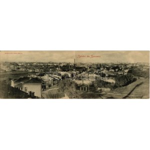 1903 Bucuresti, Bucharest, Bukarest; 2-tiled folding panoramacard