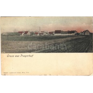 1907 Pragersko, Pragerhof; general view. Oesterr. Lichtdruck-Anstalt (EK)