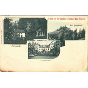 1901 Terme Dobrna, Bad Neuhaus bei Cilli; Milchmariandl, Ruine Schlangenburg, Schweizerhof / spa, bath, hotel...