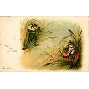 1901 Béka szerenád / Frog serenade. litho (EK)