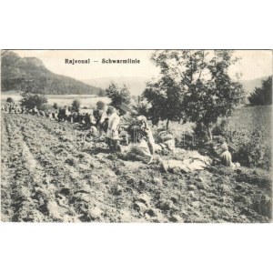 1914 Rajvonal / Schwarmlinie / WWI Austro-Hungarian K.u.K. military, swarm line (EB)