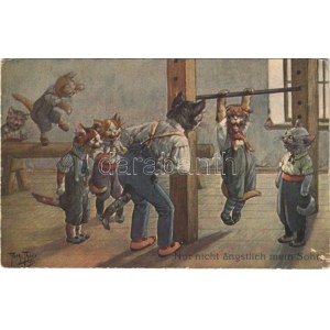 Nur nicht ängstlich mein Sohn / Macska tornaóra / Cat gym class. T.S.N. Serie 1880. s: Arthur Thiele (szakadás / tear...