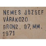 Nemes József (1926-1977) 1971. Várakozó egyoldalas Br emlékérem (80mm) fatáblán (155x22mm) T:1 Hungary 1971. ...