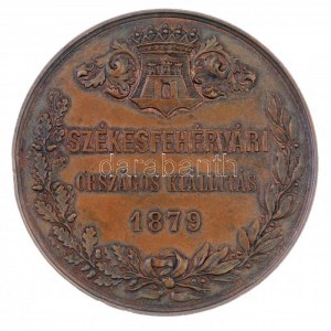 1879. Székesfehérvári Országos Kiállítás Br emlékérem (47,43g/50mm) T:1-,2 ph. / Hungary 1879. ...
