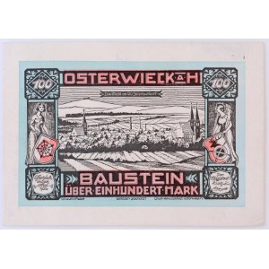 Németország / Weimari Köztársaság / Osterwieck 1922. 100M bőr szükségpénz T:I / Germany / Weimar Republic ...
