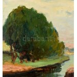 Csapó Jenő (1875-1954): Holland csatorna. Olaj, vászon, jelzett. Dekoratív, kissé sérült fa keretben, 50×60 cm ...