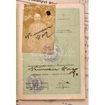 cca 1889-1946 A Károlyi család papírhagyatéka (Zsidó Világkongresszus kutatólapja, jegyzőkönyv, útlevél, zsoldkönyv...