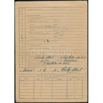 cca 1889-1946 A Károlyi család papírhagyatéka (Zsidó Világkongresszus kutatólapja, jegyzőkönyv, útlevél, zsoldkönyv...