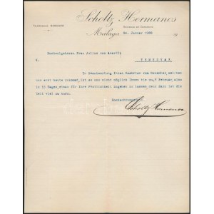 1902 Malaga, Scholtz Hermanos malagai borászati cég Temesvárra írt német nyelvű gépelt levele...