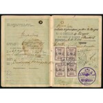 1926 20 ezer K díjjegyes útlevél, benne fotó és török...