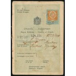 1926 20 ezer K díjjegyes útlevél, benne fotó és török...