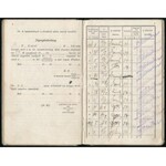 1911-1918 1848/49-iki honvéd hadnagy özvegye részére szóló fizetési könyvecske, kopott, foltos vászon kötésben...