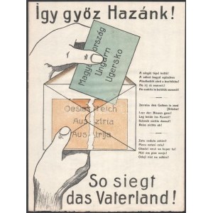 1921 Így győz Hazánk! színes propaganda plakát a Soproni népszavazás idejéből, litográfia, 31,5×23,5 cm ...