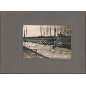 cca 1930 Falkavadászat, Balogh Rudolf (1879-1944) fotóművész szárazpecséttel jelzett, kartonra ragasztott fotója...