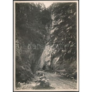 cca 1910-1920 Brassó vidéki hegyek, Propásta, Erdélyi Mór (1866-1934) felvétele, hátoldalán feliratozott fotó, 16x11...