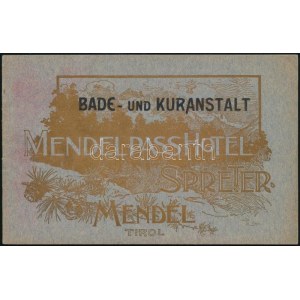 cca 1910 A dél-tiroli Mendelpass Hotel fürdő- és gyógyhely képekkel gazdagon illusztrált német nyelvű ismertető füzete...