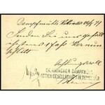 1871 2kr díjjegyes levelezőlap / PS-card MOZGÓ POSTA / TEMESVÁR 4 - Pest
