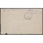 1890 5kr díjjegyes zárt levelezőlap Színesszámú 5kr díjkiegészítéssel / 5kr PS-cover card with 5kr additional franking ...