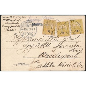 1906 3 x 2f N.P. perfin bélyegek képeslapon / 3 x 2f N.P. perfin stamps on postcard KIRÁLYHIDA